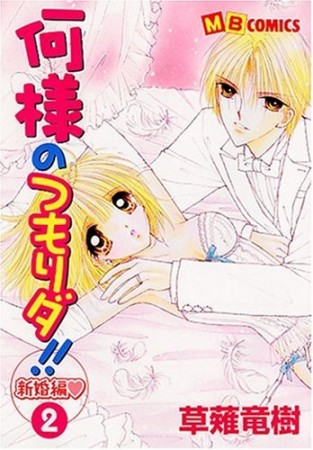 何様のつもりダ!! 新婚編2巻の表紙