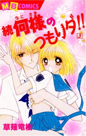 続何様のつもりダ!!3巻の表紙