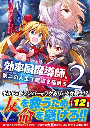 効率厨魔導師、第二の人生で魔導を極める2巻の表紙