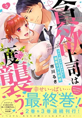 貪欲上司は二度襲う～ゴム1個じゃ止まらない…濃厚ラブホ研修3巻の表紙