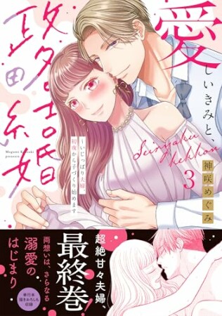 愛しいきみと、政略結婚~いじっぱり夫婦、初夜から子づくり始めます3巻の表紙