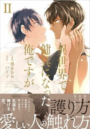 異世界で傭兵になった俺ですが2巻の表紙