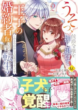うそっ、侯爵令嬢を押し退けて王子の婚約者(仮)になった女に転生？　しかも今日から王妃教育ですって？2巻の表紙