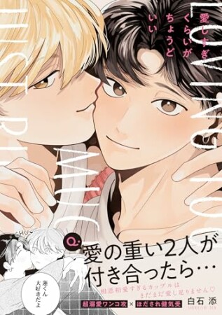 愛しすぎくらいがちょうどいい1巻の表紙