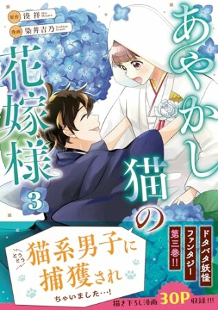 あやかし猫の花嫁様3巻の表紙