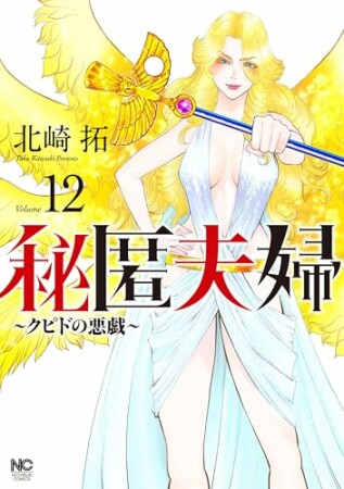 秘匿夫婦~クピドの悪戯~12巻の表紙