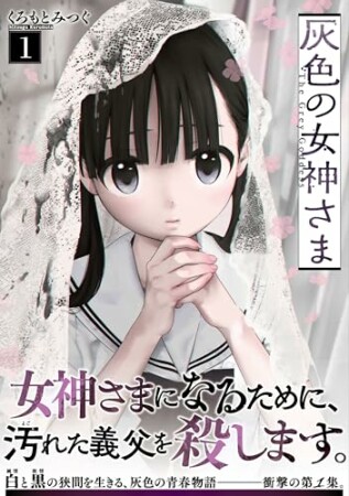 灰色の女神さま1巻の表紙
