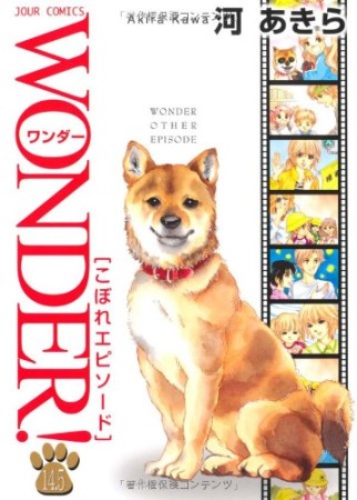 WONDER!15巻の表紙