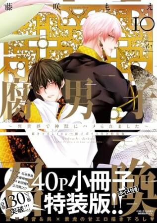 腐男子召喚～異世界で神獣にハメられました～11巻の表紙