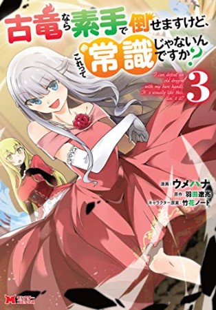 古竜なら素手で倒せますけど、これって常識じゃないんですか？3巻の表紙