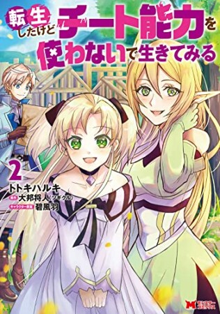 転生したけどチート能力を使わないで生きてみる2巻の表紙