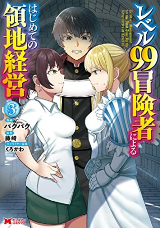 レベル99冒険者によるはじめての領地経営（コミック）3巻の表紙