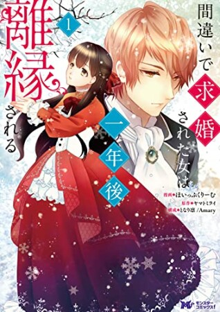 間違いで求婚された女は一年後離縁される2巻の表紙
