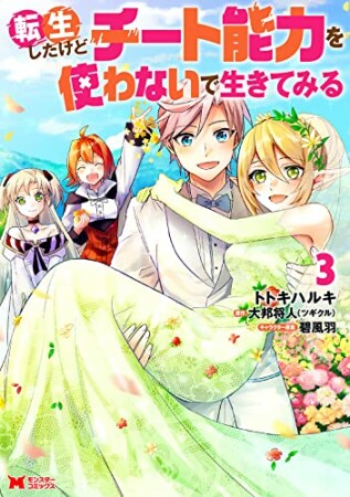 転生したけどチート能力を使わないで生きてみる3巻の表紙