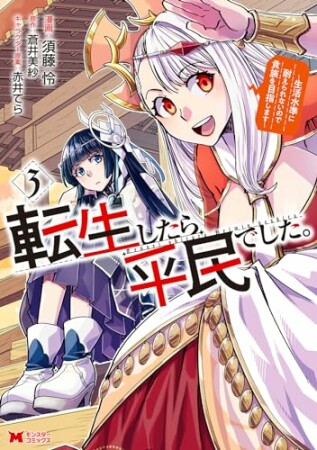 転生したら平民でした。～生活水準に耐えられないので貴族を目指します～3巻の表紙