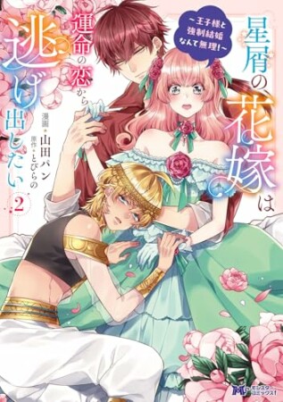 星屑の花嫁は運命の恋から逃げ出したい～王子様と強制結婚なんて無理！～（コミック）2巻の表紙