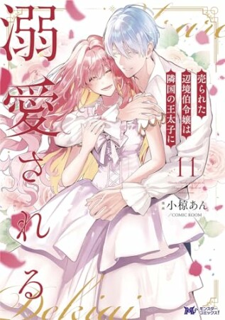 売られた辺境伯令嬢は隣国の王太子に溺愛される11巻の表紙