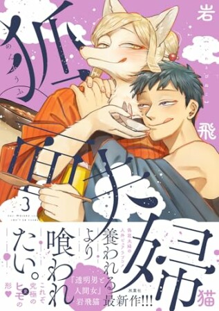 狐面夫婦3巻の表紙