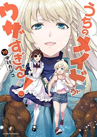 うちのメイドがウザすぎる!10巻の表紙