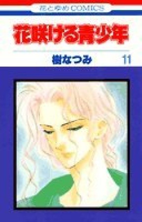 花咲ける青少年11巻の表紙