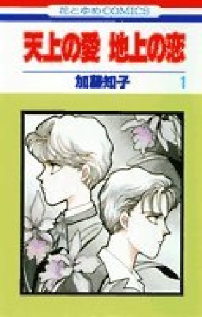 天上の愛地上の恋1巻の表紙