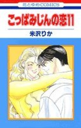 こっぱみじんの恋11巻の表紙