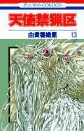 天使禁猟区13巻の表紙