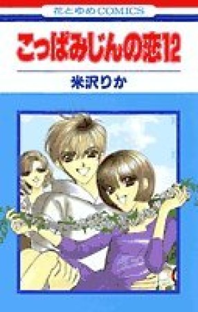 こっぱみじんの恋12巻の表紙