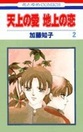 天上の愛地上の恋2巻の表紙