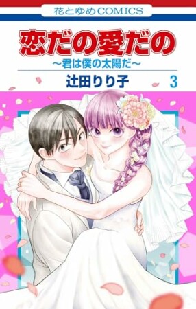 恋だの愛だの～君は僕の太陽だ～3巻の表紙