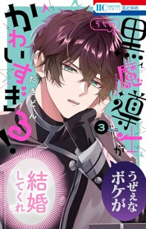 うちの黒魔導士がかわいすぎる！3巻の表紙