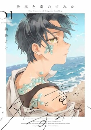 汐風と竜のすみか1巻の表紙