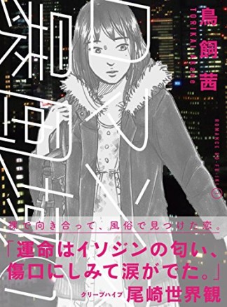 ロマンス暴風域1巻の表紙