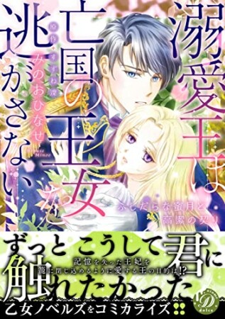 溺愛王は亡国の王女を逃がさない～ふしだらな蜜月と高潔の契り～1巻の表紙