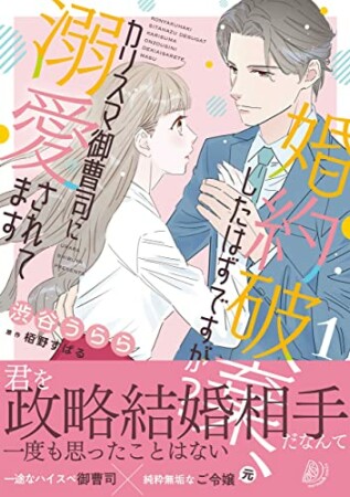 婚約破棄、したはずですが？～カリスマ御曹司に溺愛されてます～11巻の表紙