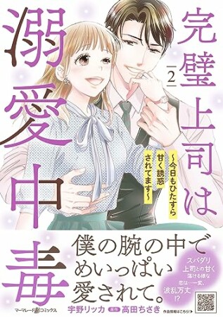 完璧上司は溺愛中毒～今日もひたすら甘く誘惑されてます～2巻の表紙