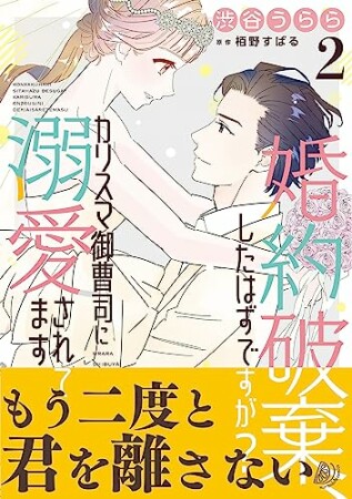 婚約破棄、したはずですが？～カリスマ御曹司に溺愛されてます～2巻の表紙