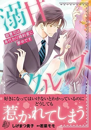 溺甘クルーズ～御曹司は身代わり婚約者に夢中です～11巻の表紙