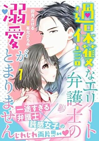 過保護なエリート弁護士の溺愛がとまりません1巻の表紙