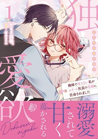 独占愛欲～地味で冴えない私がエリート社長の花嫁に任命されました～１1巻の表紙