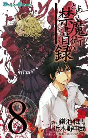 とある魔術の禁書目録8巻の表紙