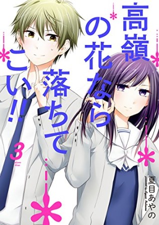 高嶺の花なら落ちてこい!!3巻の表紙