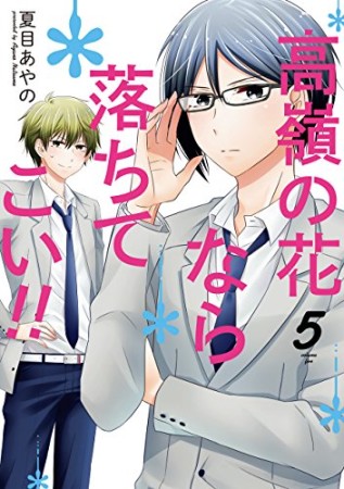 高嶺の花なら落ちてこい!!5巻の表紙