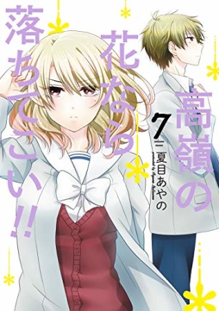 高嶺の花なら落ちてこい!!7巻の表紙