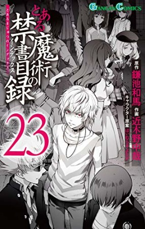 とある魔術の禁書目録23巻の表紙