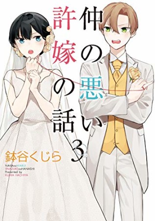 仲の悪い許嫁の話3巻の表紙