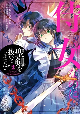 侍女なのに…聖剣を抜いてしまった!2巻の表紙