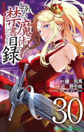 とある魔術の禁書目録30巻の表紙