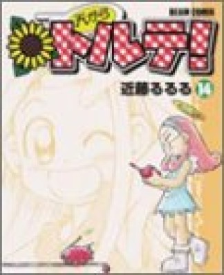 天からトルテ!14巻の表紙