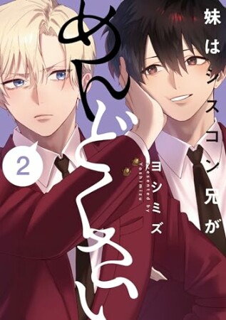 妹はシスコン兄がめんどくさい2巻の表紙